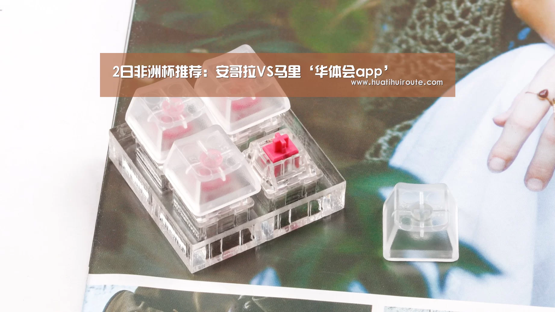 华体会官网下载